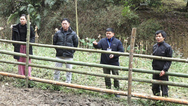 XÃ VĂN LÃNG KIỂM TRA CÔNG TÁC PHÒNG CHỐNG ĐÓI RÉT CHO TRÂU, BÒ