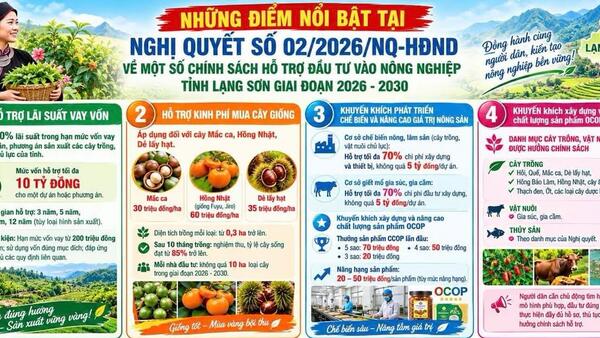 NGHỊ QUYẾT SỐ 02- MỞ RỘNG CƠ HỘI ĐẦU TƯ NÔNG NGHIỆP