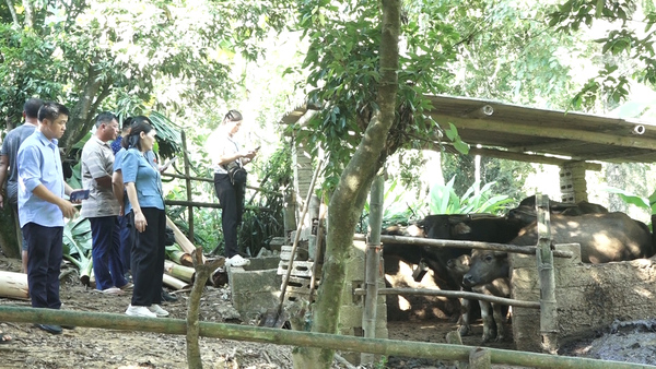 BAN KINH TẾ- NGÂN SÁCH HĐND XÃ VĂN LÃNG KHẢO SÁT THỰC HIỆN CHƯƠNG TRÌNH MTQG GIẢM NGHÈO BỀN VỮNG TẠI UBND XÃ VĂN LÃNG